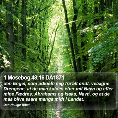 1 Mosebog 48:16 DA1871 Bible Verse Image