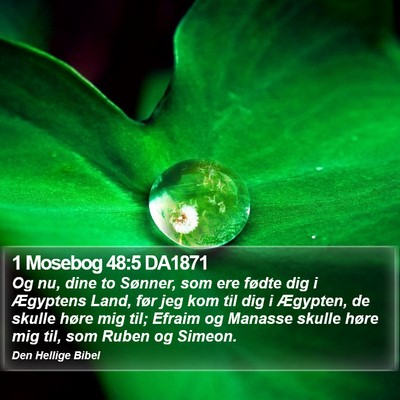 1 Mosebog 48:5 DA1871 Bible Verse Image
