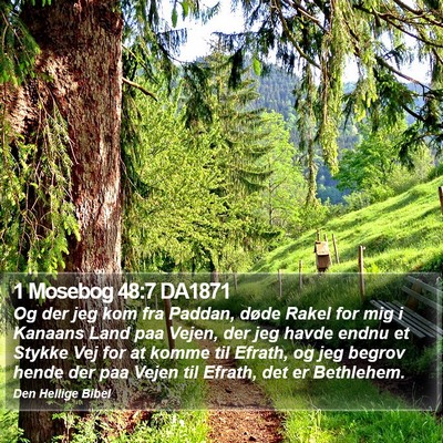 1 Mosebog 48:7 DA1871 Bible Verse Image