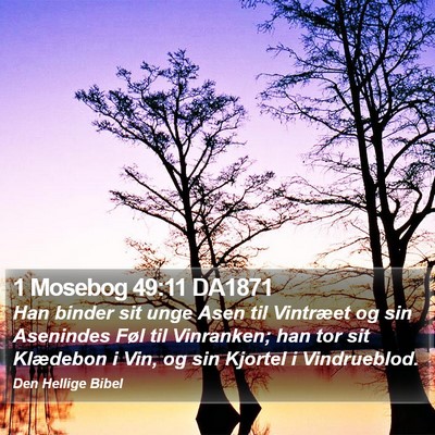 1 Mosebog 49:11 DA1871 Bible Verse Image