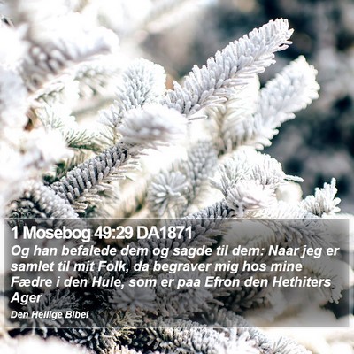 1 Mosebog 49:29 DA1871 Bible Verse Image