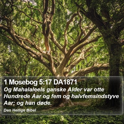 1 Mosebog 5:17 DA1871 Bible Verse Image