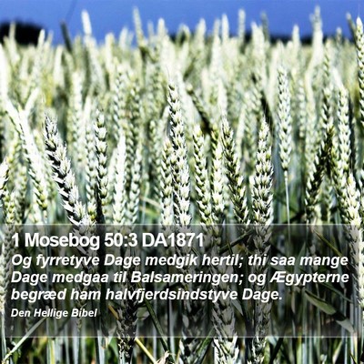 1 Mosebog 50:3 DA1871 Bible Verse Image