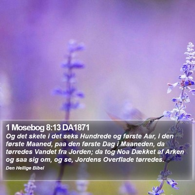 1 Mosebog 8:13 DA1871 Bible Verse Image