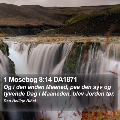 1 Mosebog 8:14 DA1871 Bible Verse Image