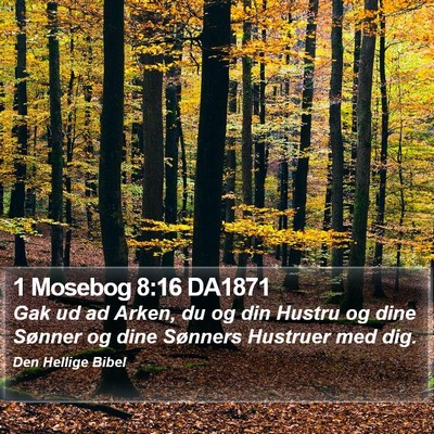 1 Mosebog 8:16 DA1871 Bible Verse Image