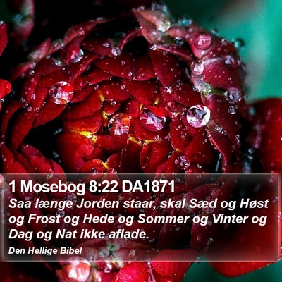 1 Mosebog 8:22 DA1871 Bible Verse Image