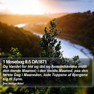 1 Mosebog 8:5 DA1871 Bible Verse Image