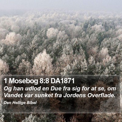 1 Mosebog 8:8 DA1871 Bible Verse Image
