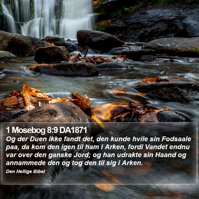 1 Mosebog 8:9 DA1871 Bible Verse Image