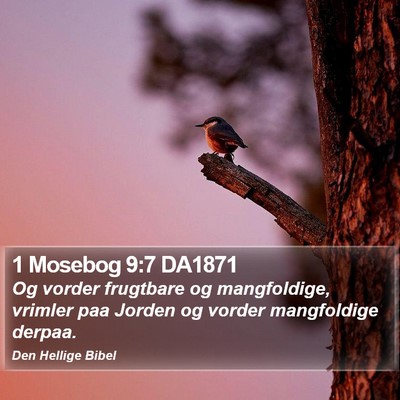 1 Mosebog 9:7 DA1871 Bible Verse Image