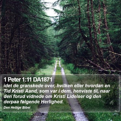 1 Peter 1:11 DA1871 Bible Verse Image