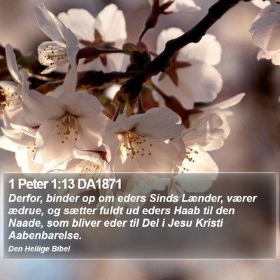 1 Peter 1:13 DA1871 Bible Verse Image