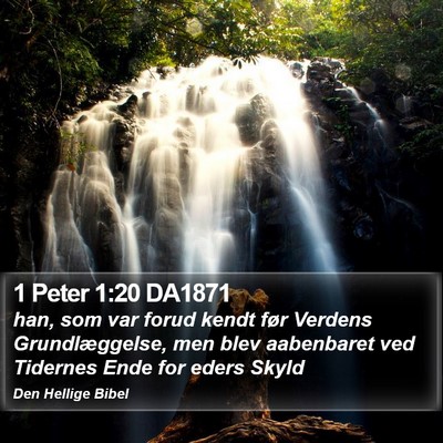 1 Peter 1:20 DA1871 Bible Verse Image