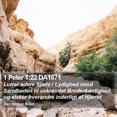 1 Peter 1:22 DA1871 Bible Verse Image