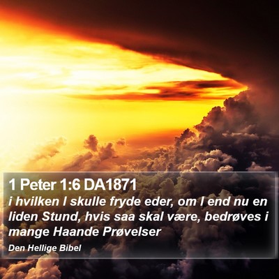 1 Peter 1:6 DA1871 Bible Verse Image