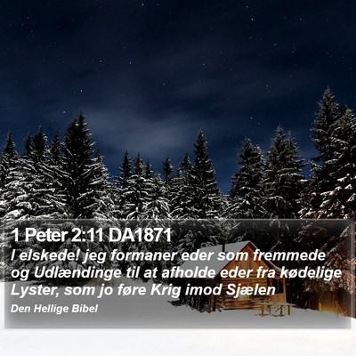 1 Peter 2:11 DA1871 Bible Verse Image