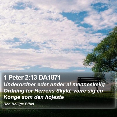 1 Peter 2:13 DA1871 Bible Verse Image