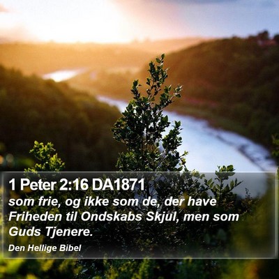1 Peter 2:16 DA1871 Bible Verse Image