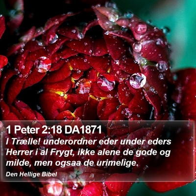 1 Peter 2:18 DA1871 Bible Verse Image