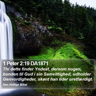 1 Peter 2:19 DA1871 Bible Verse Image
