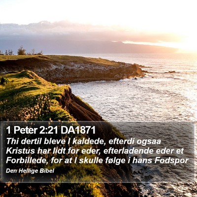 1 Peter 2:21 DA1871 Bible Verse Image