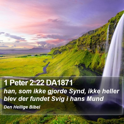 1 Peter 2:22 DA1871 Bible Verse Image