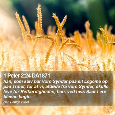 1 Peter 2:24 DA1871 Bible Verse Image