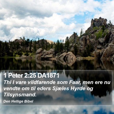 1 Peter 2:25 DA1871 Bible Verse Image