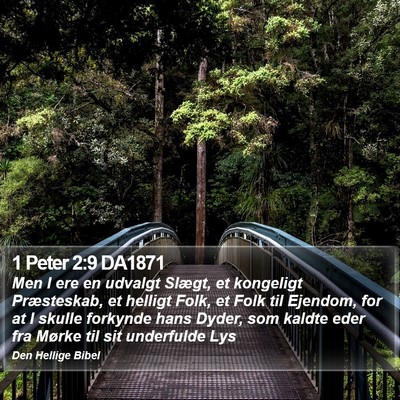 1 Peter 2:9 DA1871 Bible Verse Image