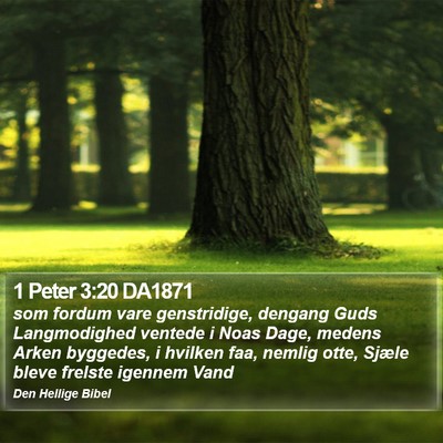 1 Peter 3:20 DA1871 Bible Verse Image
