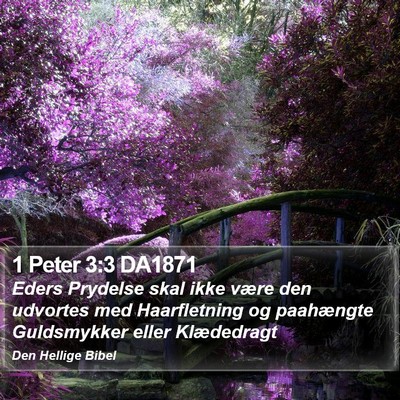 1 Peter 3:3 DA1871 Bible Verse Image