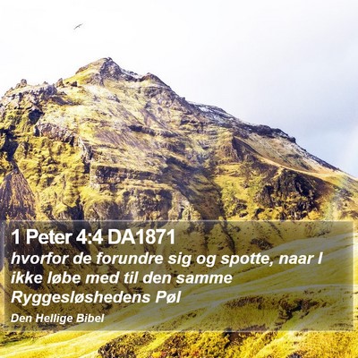1 Peter 4:4 DA1871 Bible Verse Image