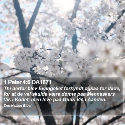 1 Peter 4:6 DA1871 Bible Verse Image