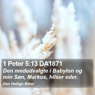 1 Peter 5:13 DA1871 Bible Verse Image