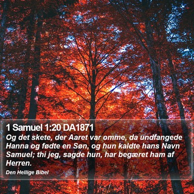 1 Samuel 1:20 DA1871 Bible Verse Image