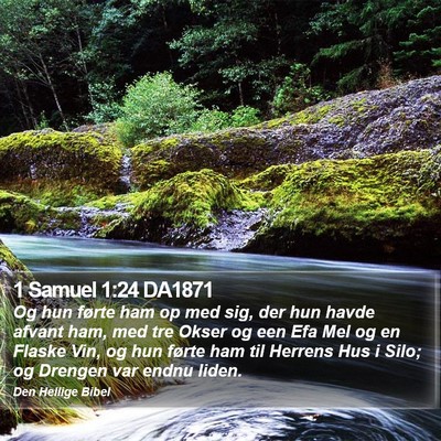 1 Samuel 1:24 DA1871 Bible Verse Image