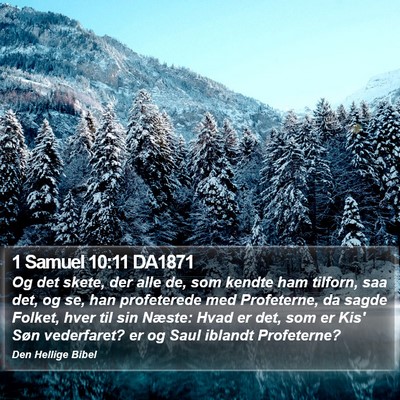 1 Samuel 10:11 DA1871 Bible Verse Image