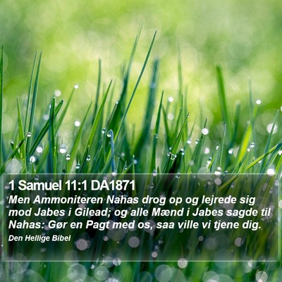 1 Samuel 11:1 DA1871 Bible Verse Image