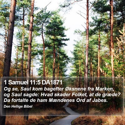 1 Samuel 11:5 DA1871 Bible Verse Image