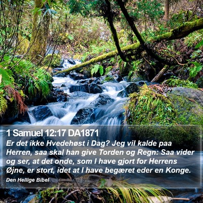 1 Samuel 12:17 DA1871 Bible Verse Image