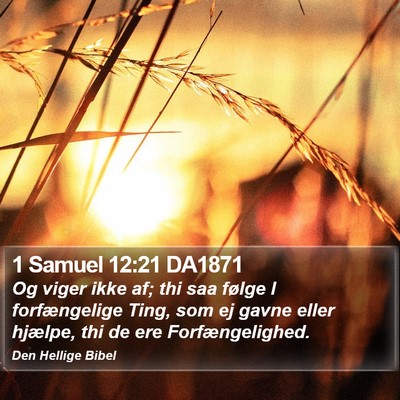 1 Samuel 12:21 DA1871 Bible Verse Image