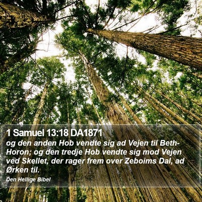 1 Samuel 13:18 DA1871 Bible Verse Image