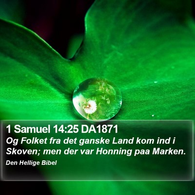 1 Samuel 14:25 DA1871 Bible Verse Image