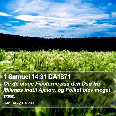 1 Samuel 14:31 DA1871 Bible Verse Image