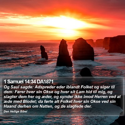 1 Samuel 14:34 DA1871 Bible Verse Image