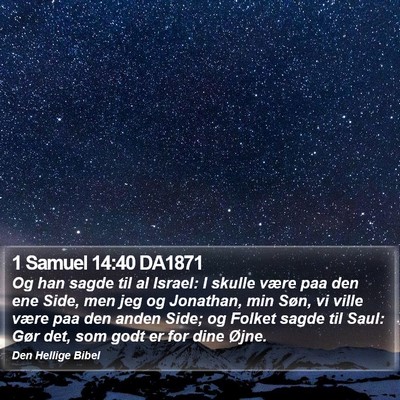 1 Samuel 14:40 DA1871 Bible Verse Image