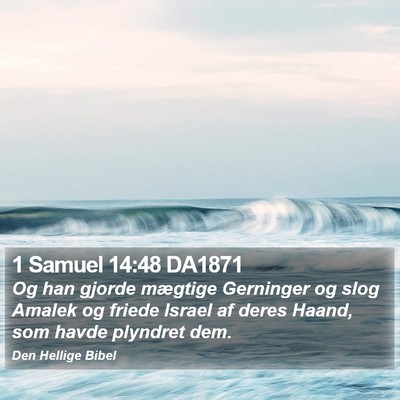 1 Samuel 14:48 DA1871 Bible Verse Image