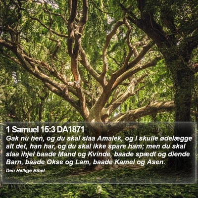 1 Samuel 15:3 DA1871 Bible Verse Image