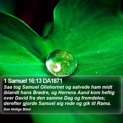 1 Samuel 16:13 DA1871 Bible Verse Image